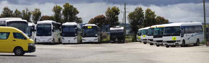 McKenzies Scania K440EB Coach Concepts 7, Warragul K360CB Higer 2036AO, Berwick Bonluck Citystar 4 & Fuso Rosas 38, 50, 35 and 28